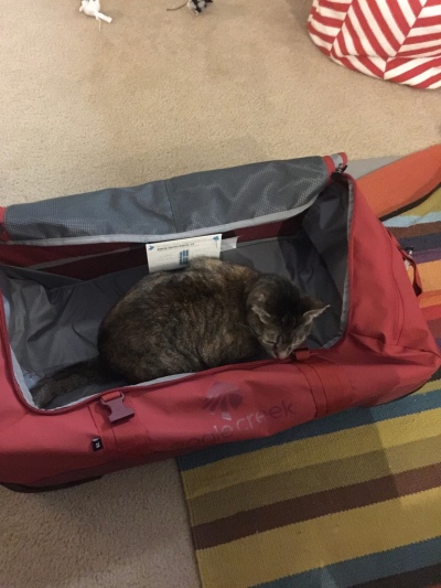The Dreaded Suitcase
